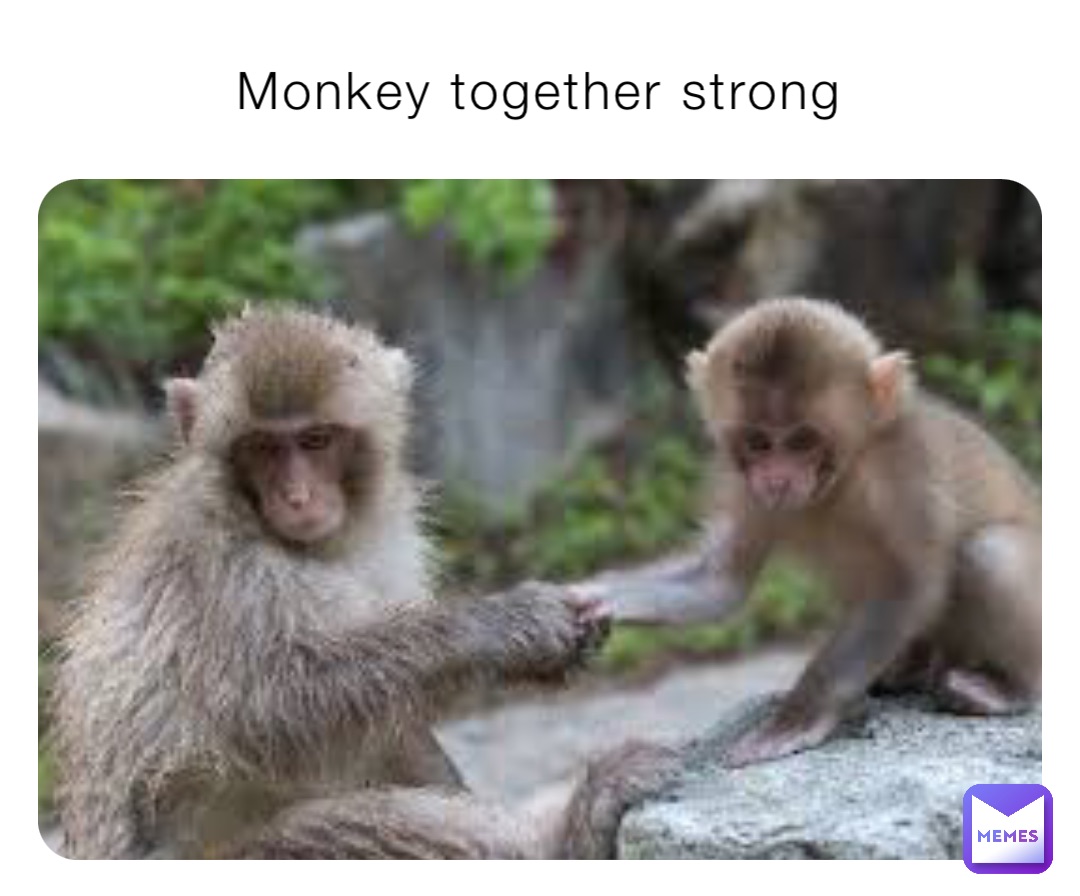 Monkey together strong