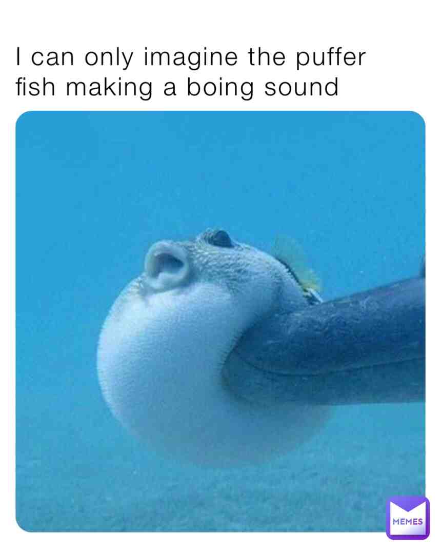 Meme preview