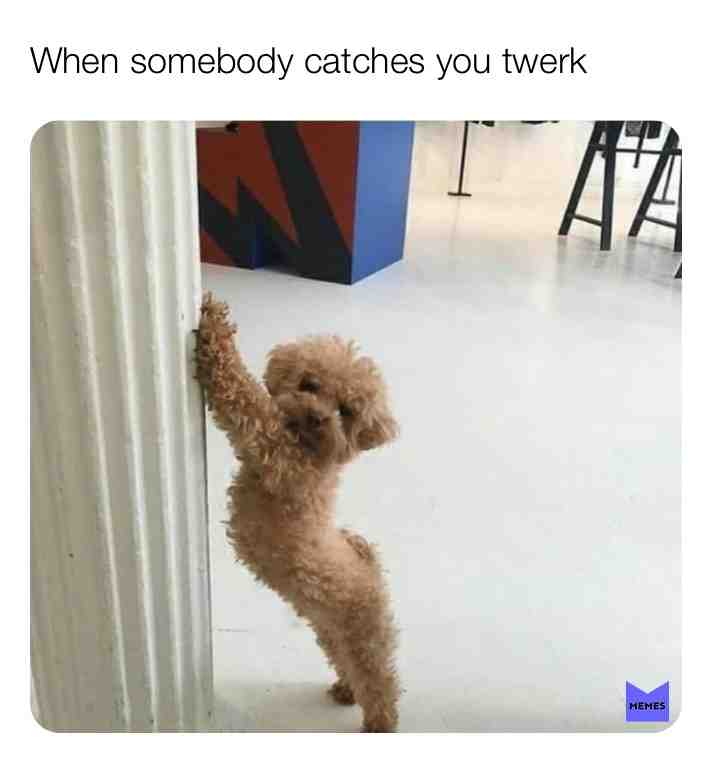 #twerk