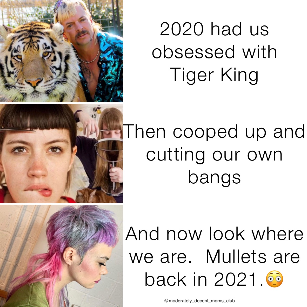 2020 had us obsessed with 
Tiger King Then cooped up and cutting our own bangs And now look where we are.  Mullets are back in 2021.😳