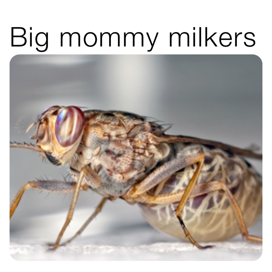 Big mommy milkers | @mcclelab | Memes