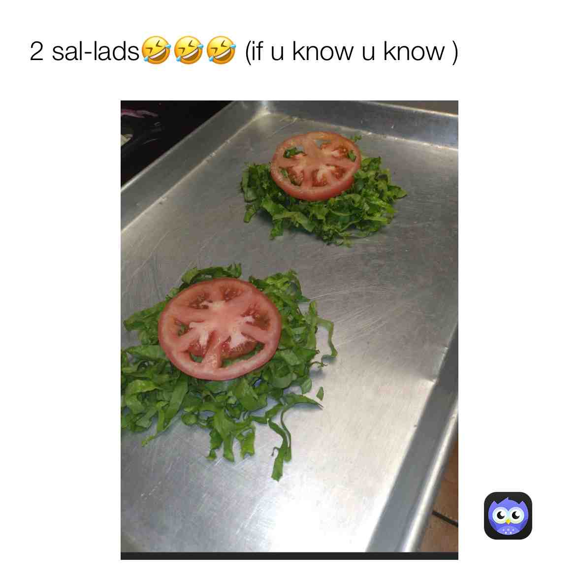 #spongebobmemes #lolmemes #fyp #foryoupage #viralpost #life #instafollow #follow #242pride
