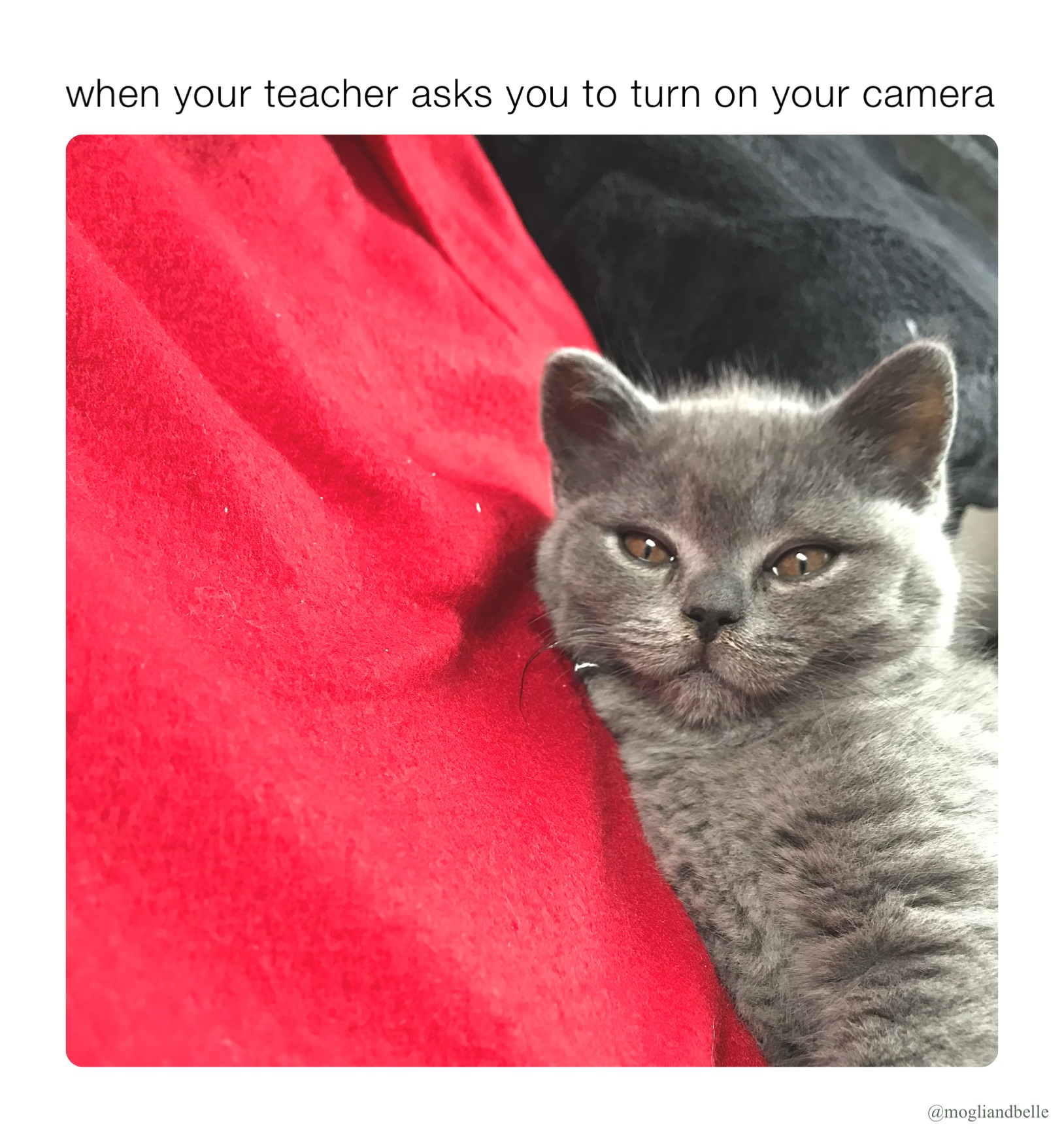 when your teacher asks you to turn on your camera