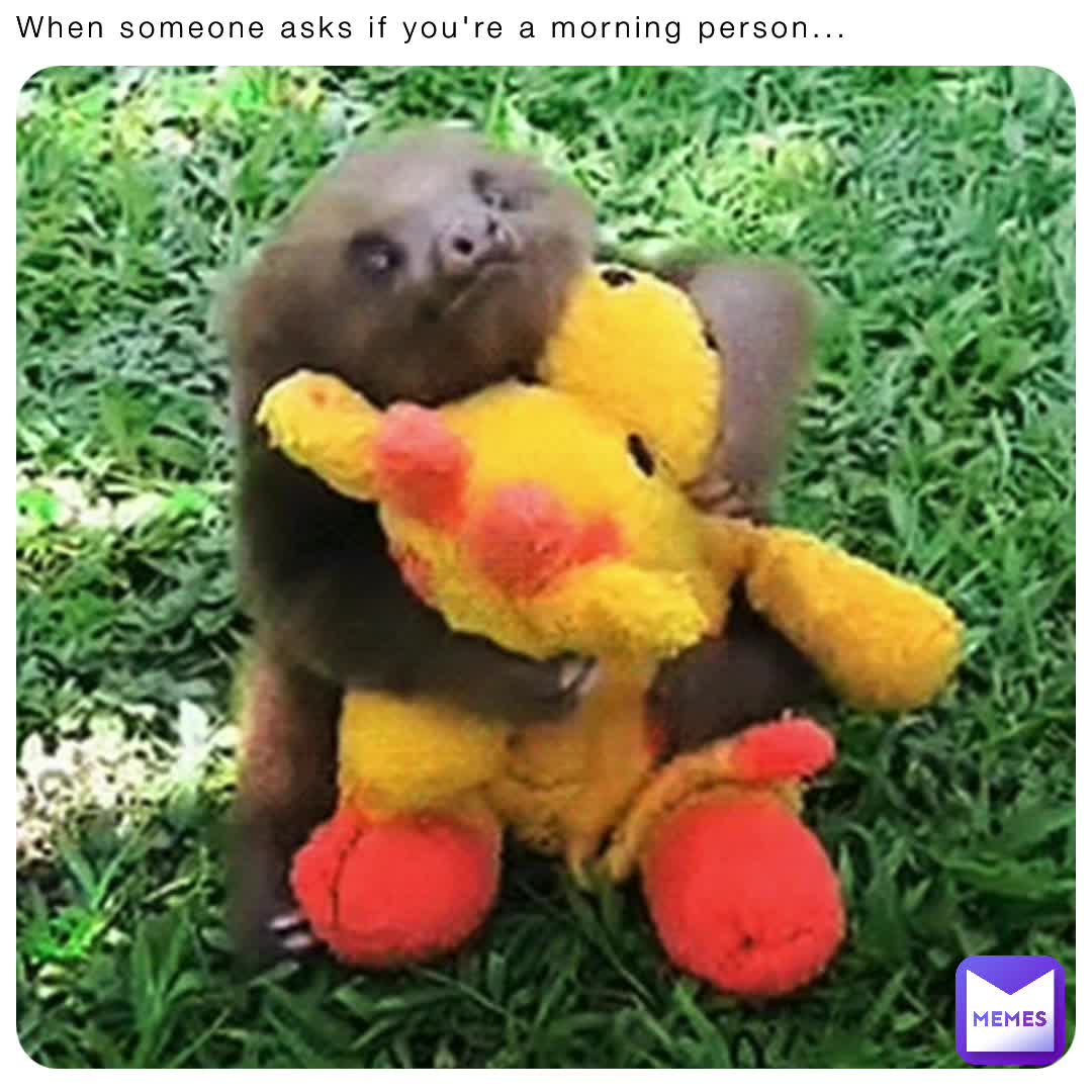 Meme shared by @f5wzkrh2bk