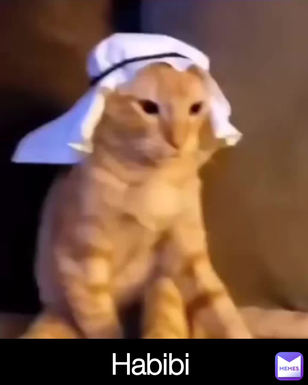 Habibi | @Demondehorror | Memes