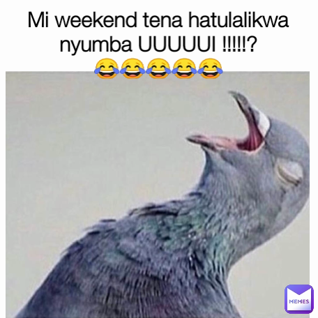 Mi weekend tena hatulalikwa nyumba UUUUUI !!!!!?
😂😂😂😂😂