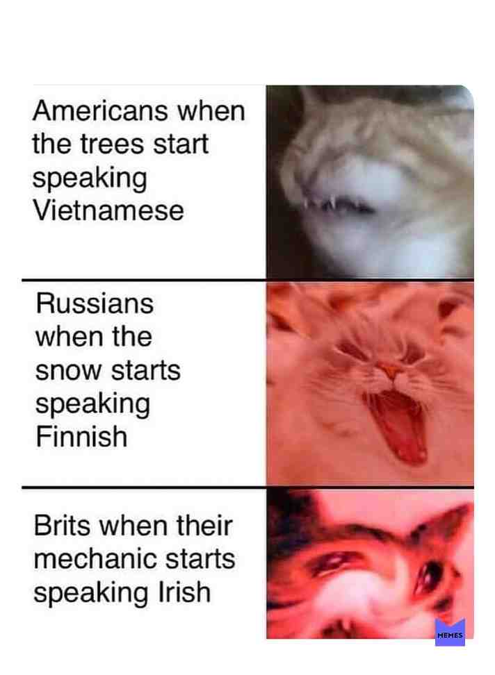 #memes