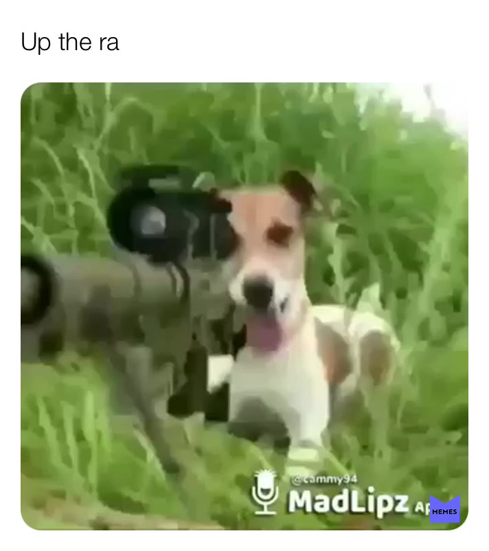 #memes  #IRA