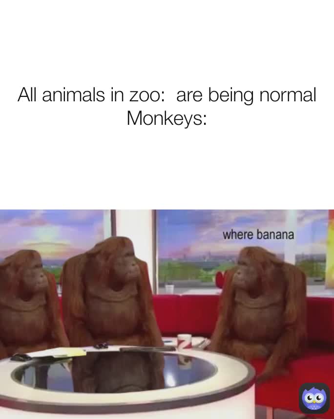All animals in zoo:  are being normal
Monkeys: