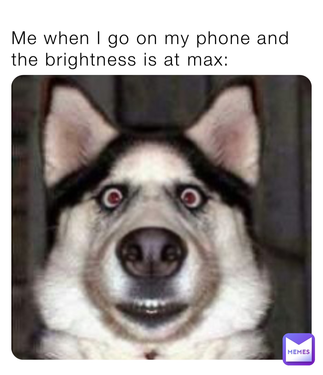 Meme by MemeQueen51098