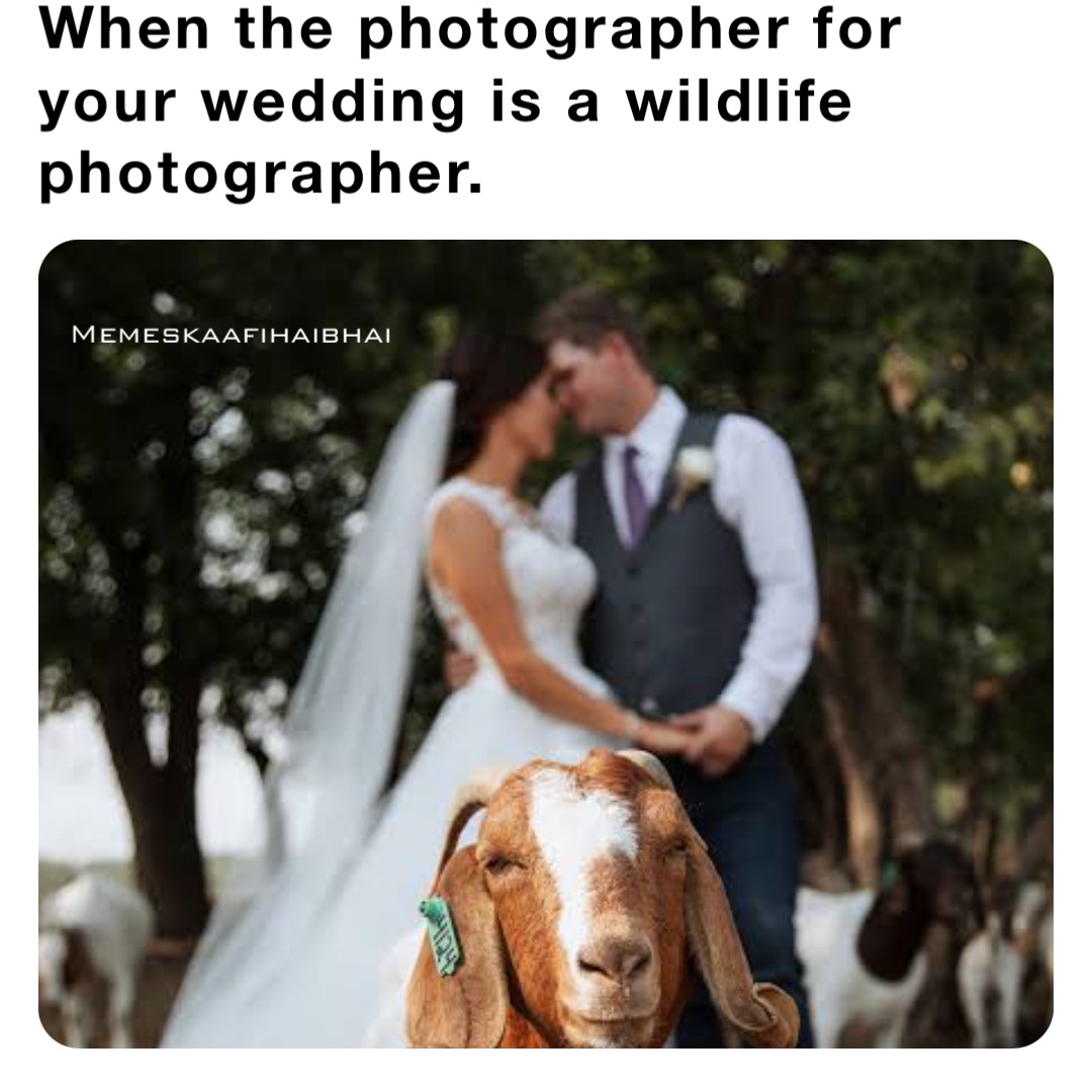 When the photographer for your wedding is a wildlife photographer. Memeskaafihaibhai