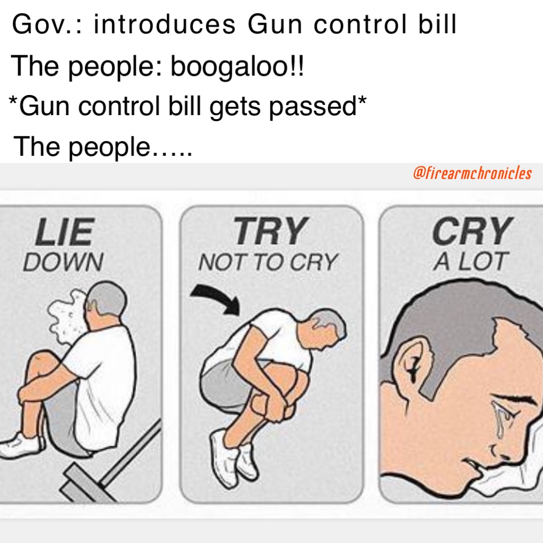 Gov. introduces Gun control bill The people boogaloo!! *Gun control