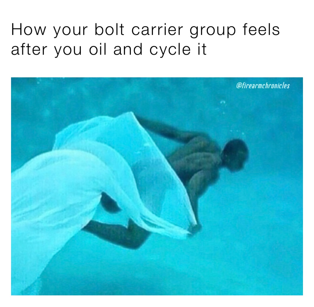 Meme by firearmchronicles