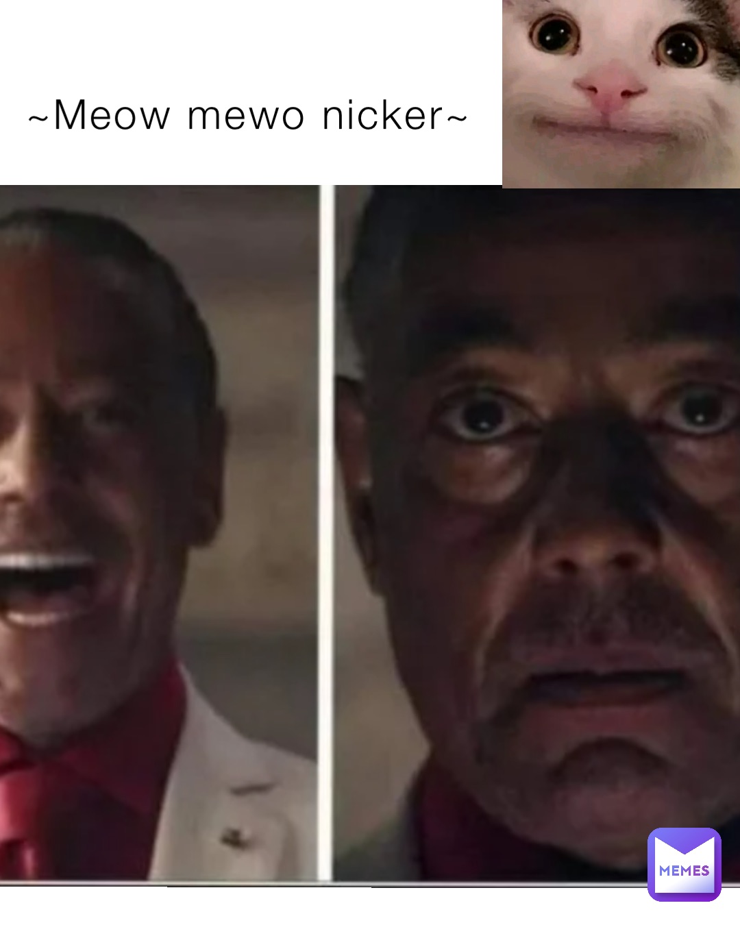 ~Meow mewo nicker~