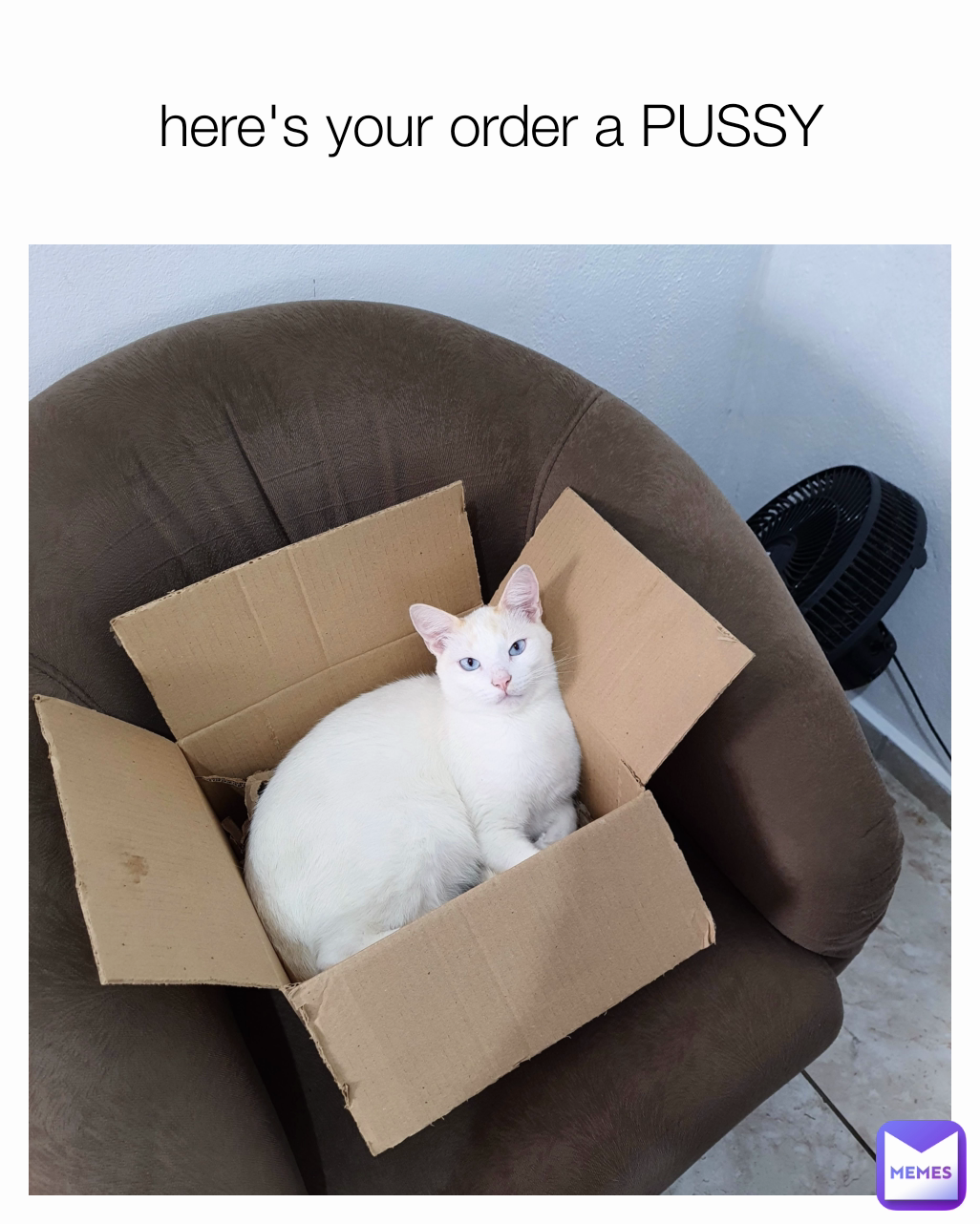 here's your order a PUSSY