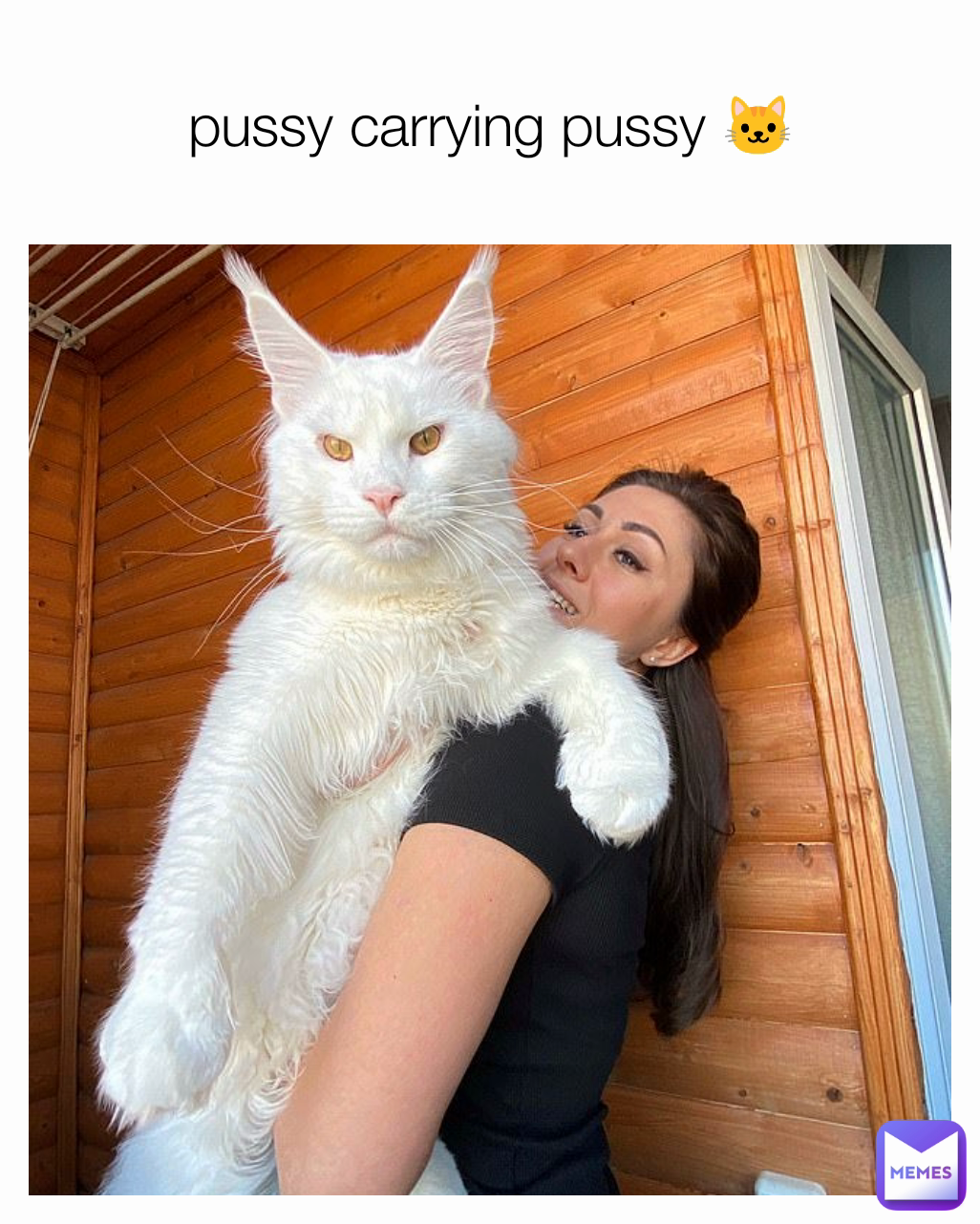 pussy carrying pussy 🐱