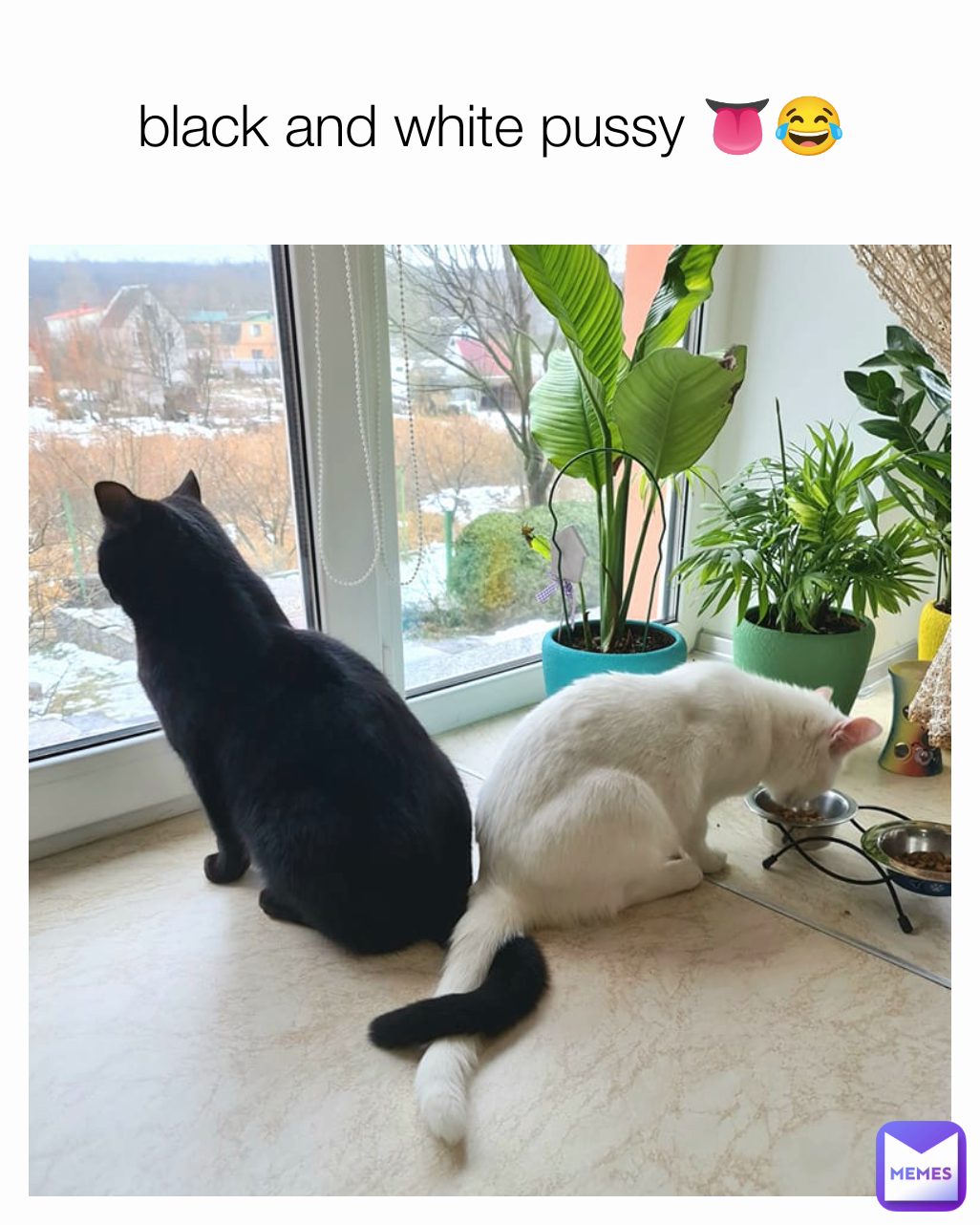 black and white pussy 👅😂