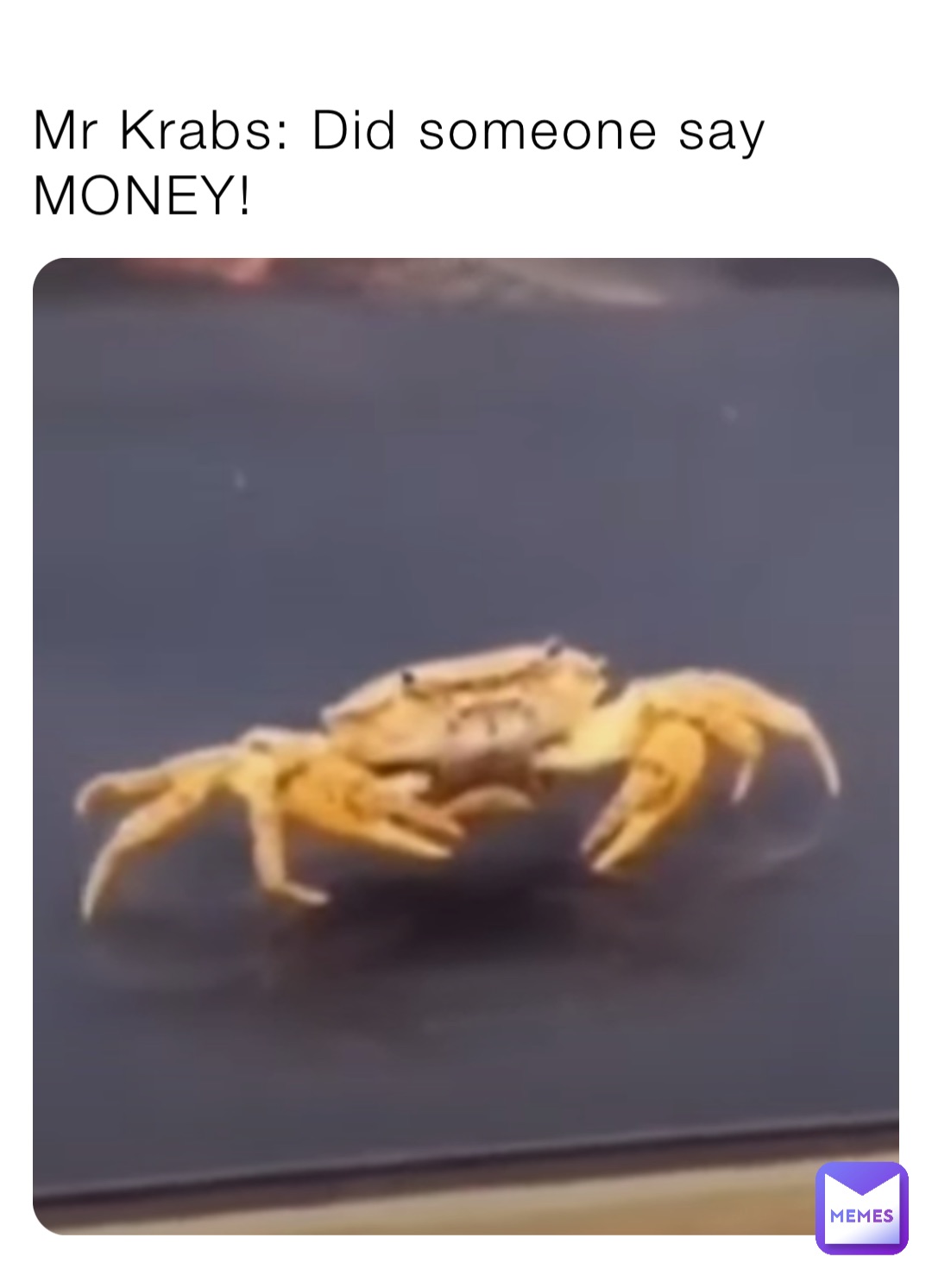 Mr Krabs: Did someone say MONEY!