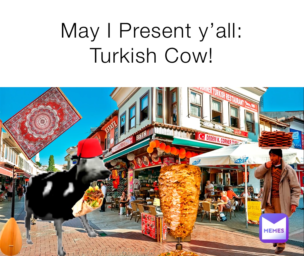 May I Present y’all:
Turkish Cow!