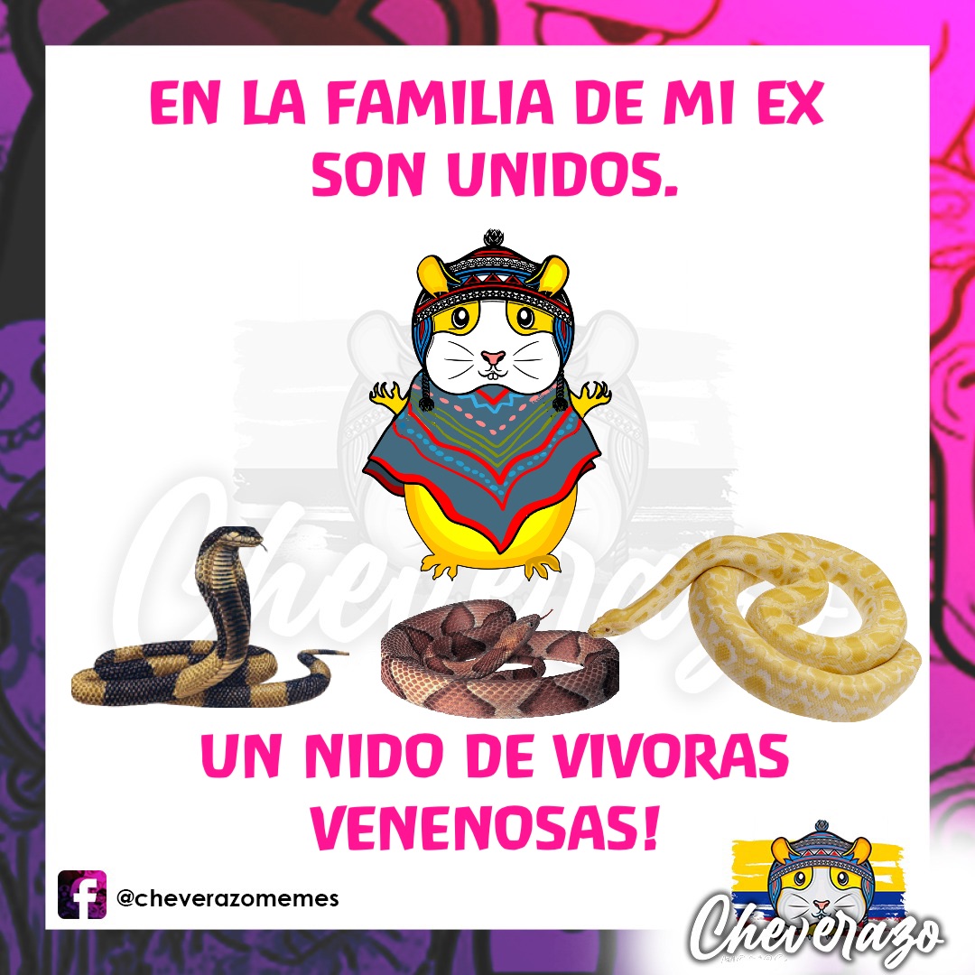 EN LA FAMILIA DE MI EX
SON UNIDOS. 







UN NIDO DE VIVORAS 
VENENOSAS!