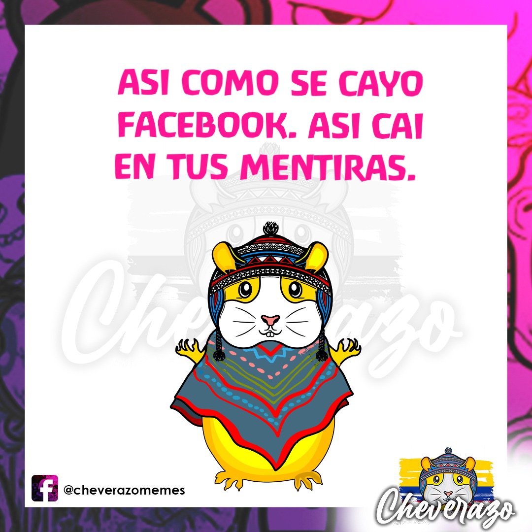 ASI COMO SE CAYO 
FACEBOOK. ASI CAI 
EN TUS MENTIRAS.