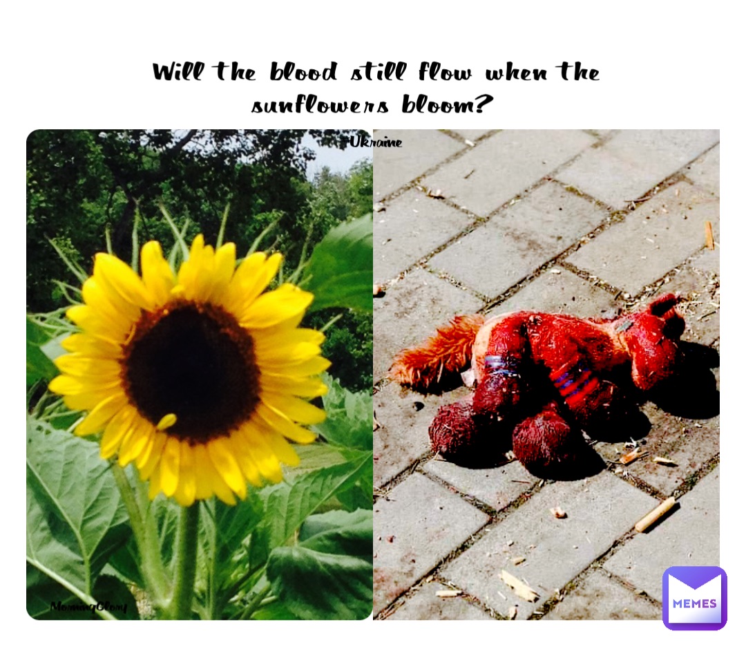 Will the blood still flow when the sunflowers bloom? #Ukraine