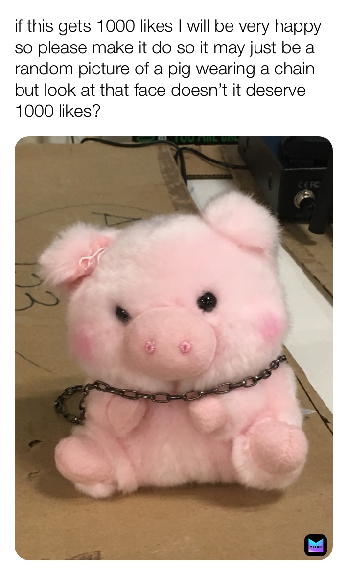 Meme by chicken10203040