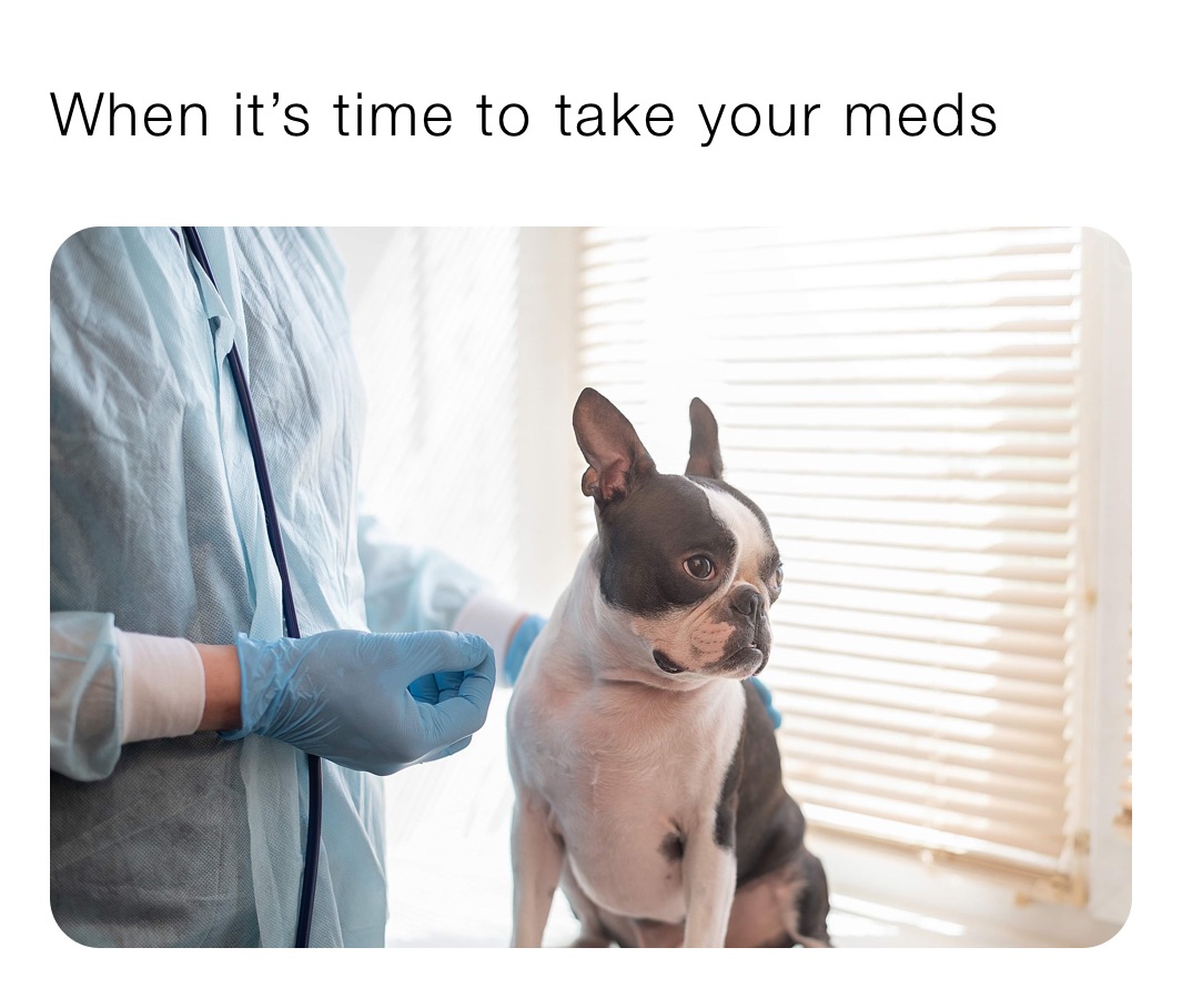 When it’s time to take your meds