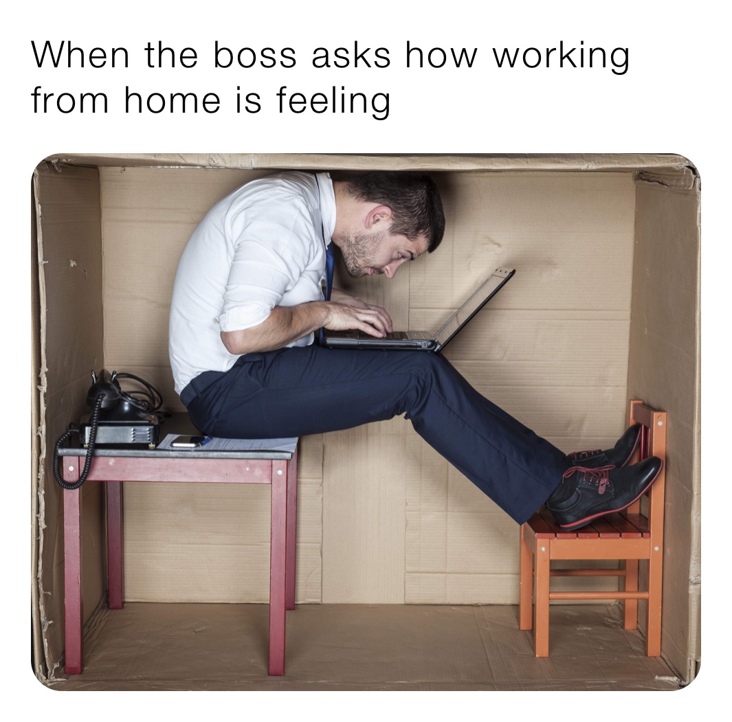 Meme by houseisfunny