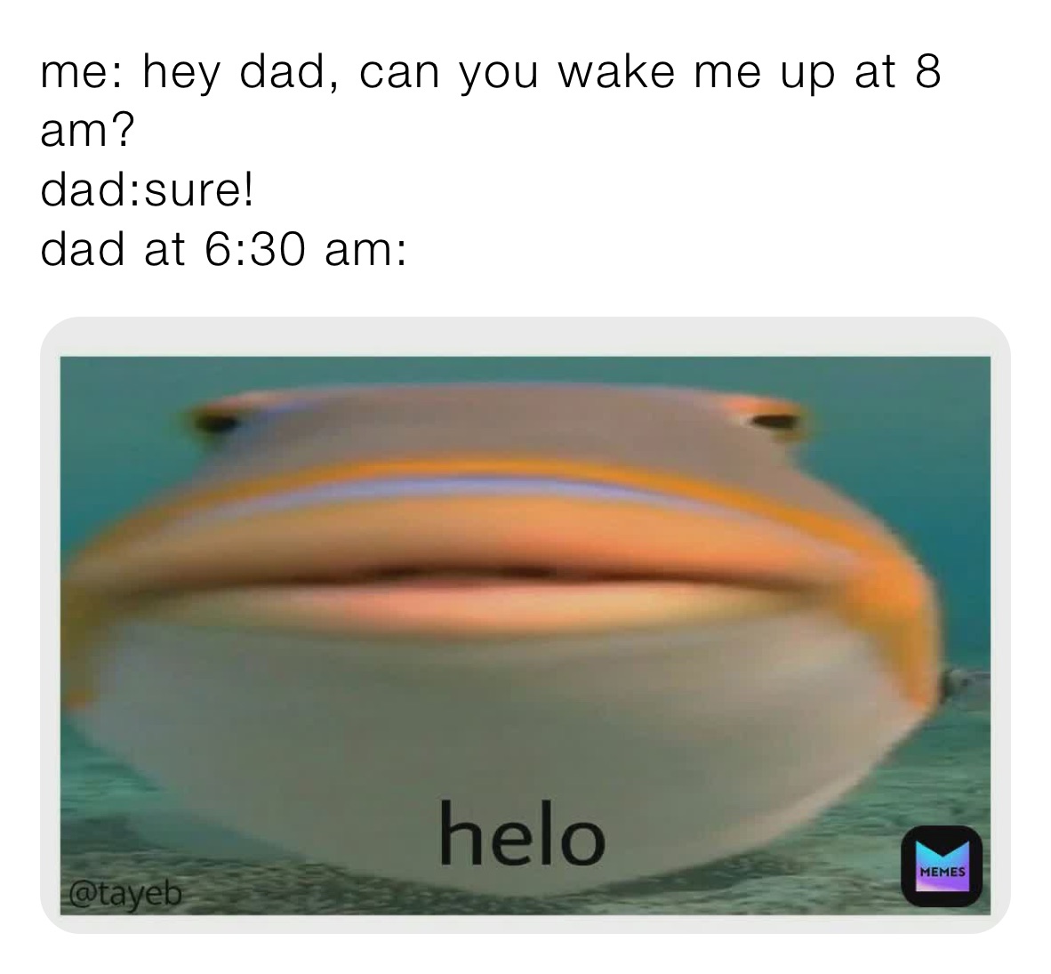 Meme by houseisfunny