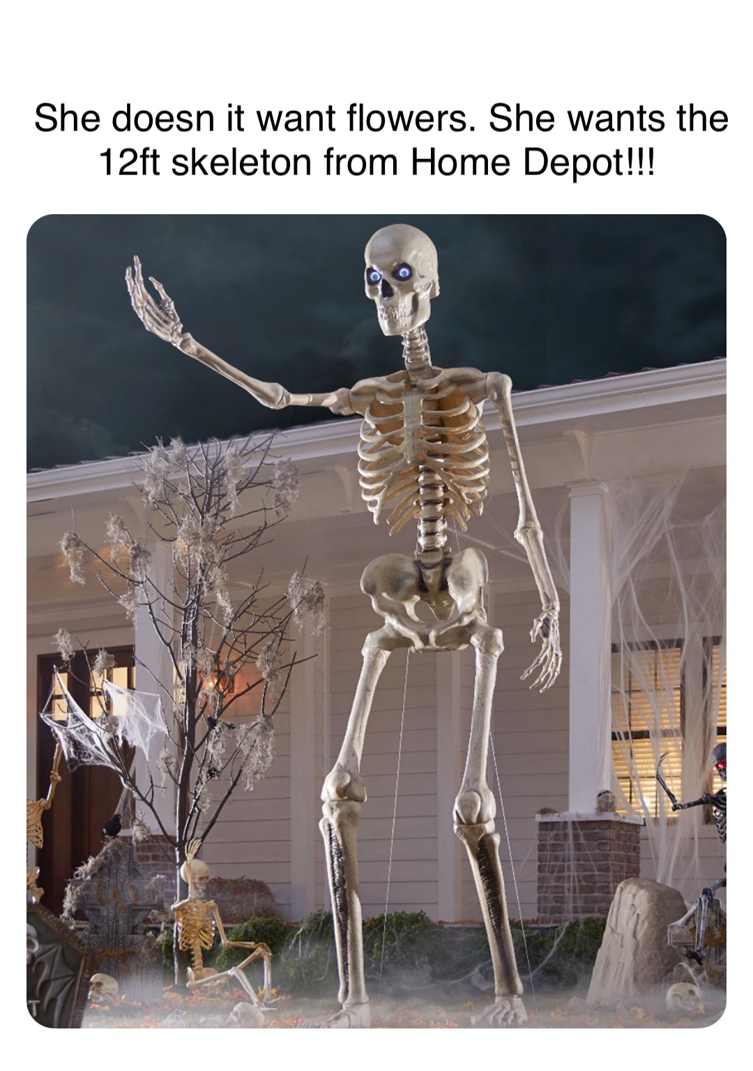 12 Foot Skeleton Meme Cheapest Store | Www.pinnaxis.com