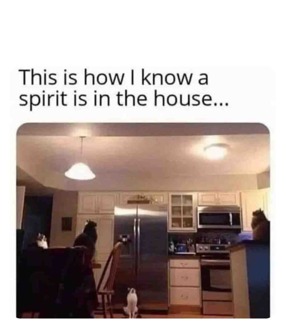 Meme shared by @Liklik161