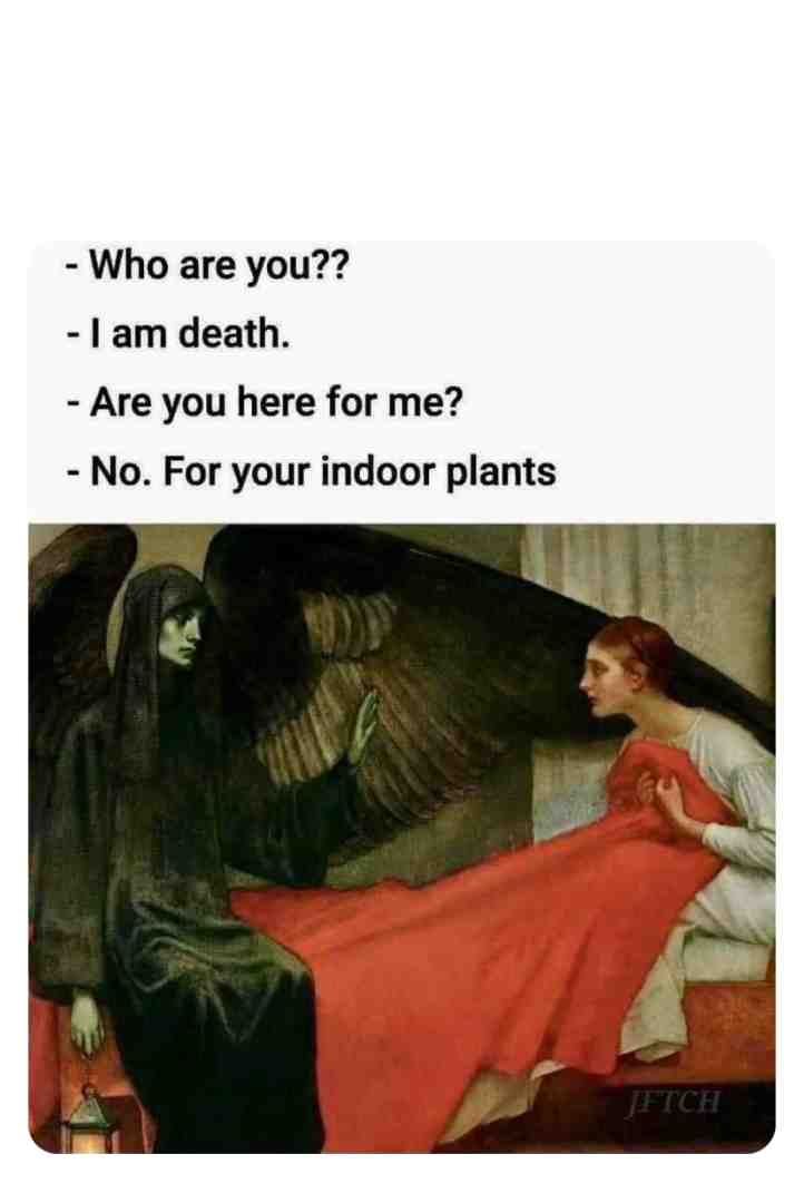 Meme shared by @Liklik161