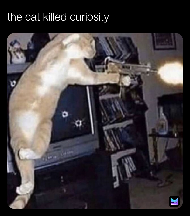 Meme by virginmonkeymemes