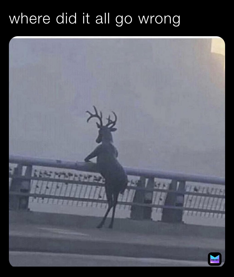 Meme by virginmonkeymemes