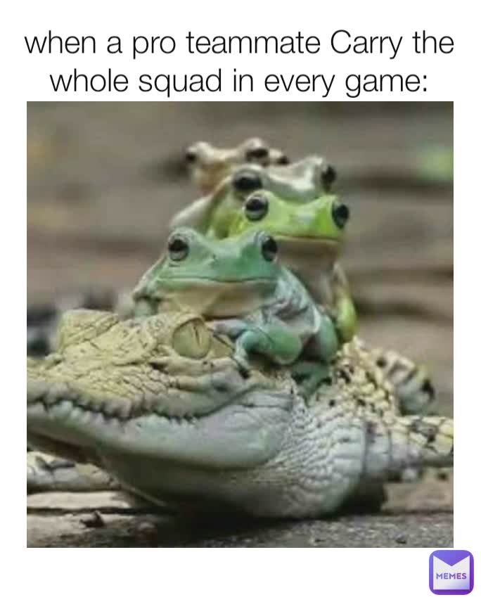 when a pro teammate Carry the whole squad in every game: