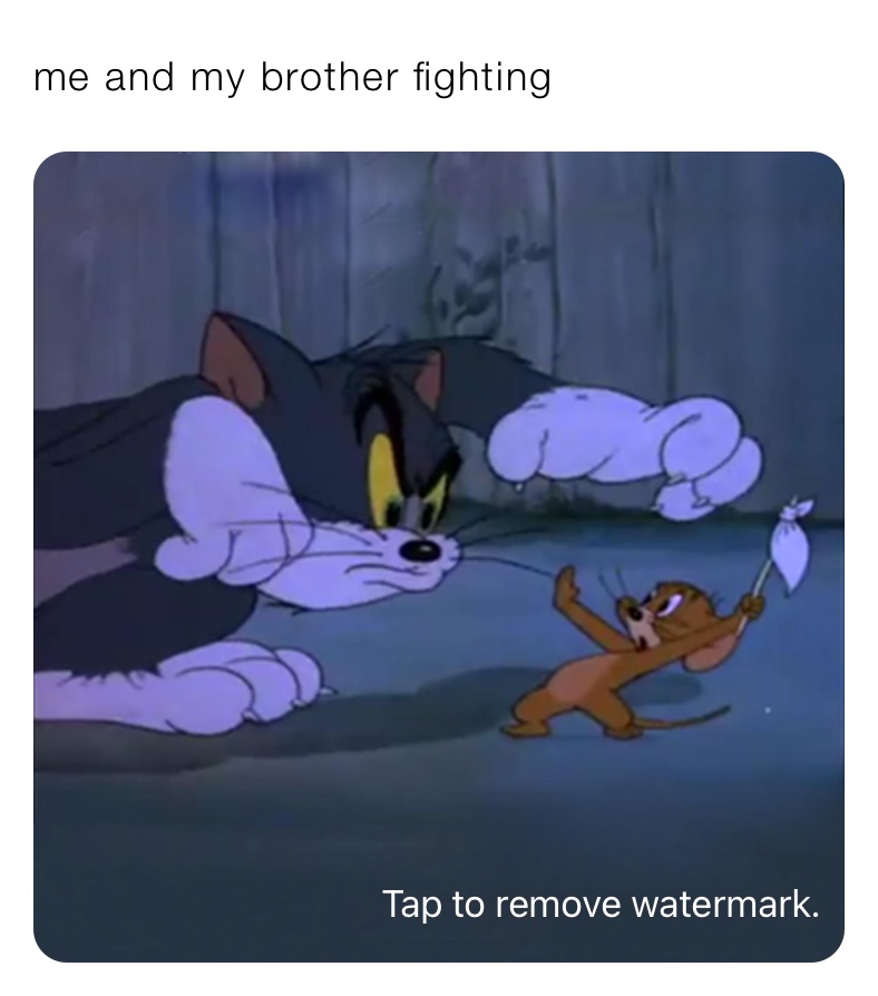 me and my brother fighting 