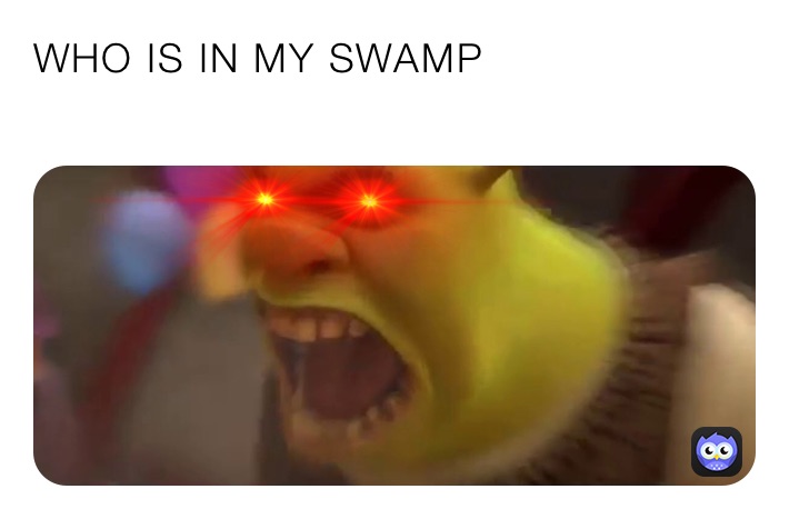 WHO IS IN MY SWAMP
