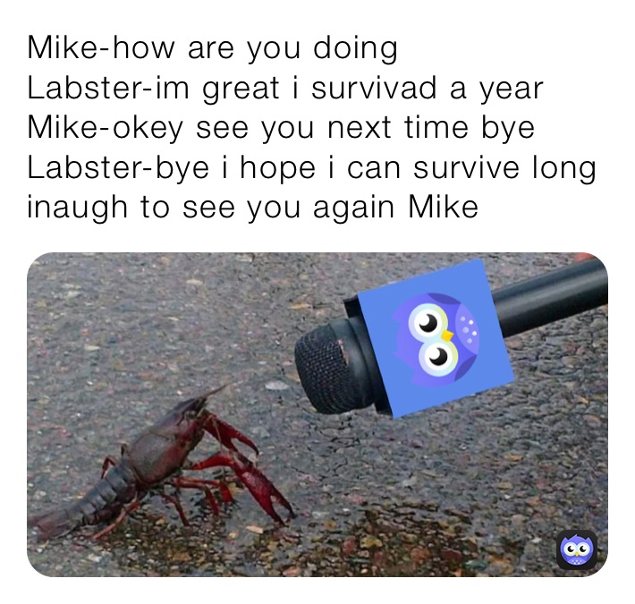 Mike-how are you doing
Labster-im great i survivad a year
Mike-okey see you next time bye
Labster-bye i hope i can survive long inaugh to see you again Mike