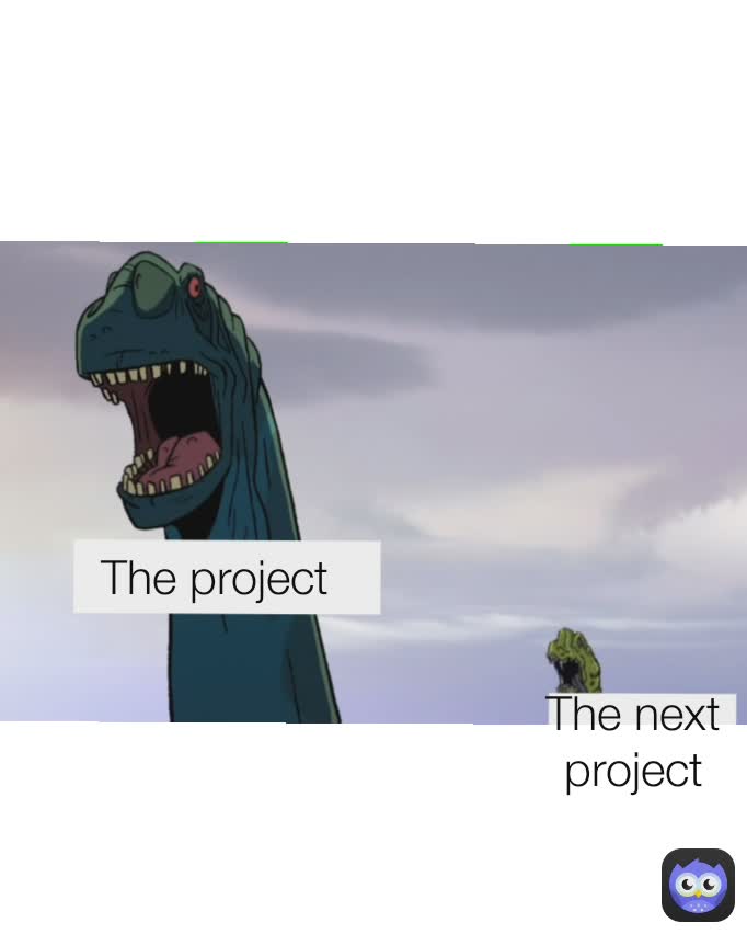 The next project The project 