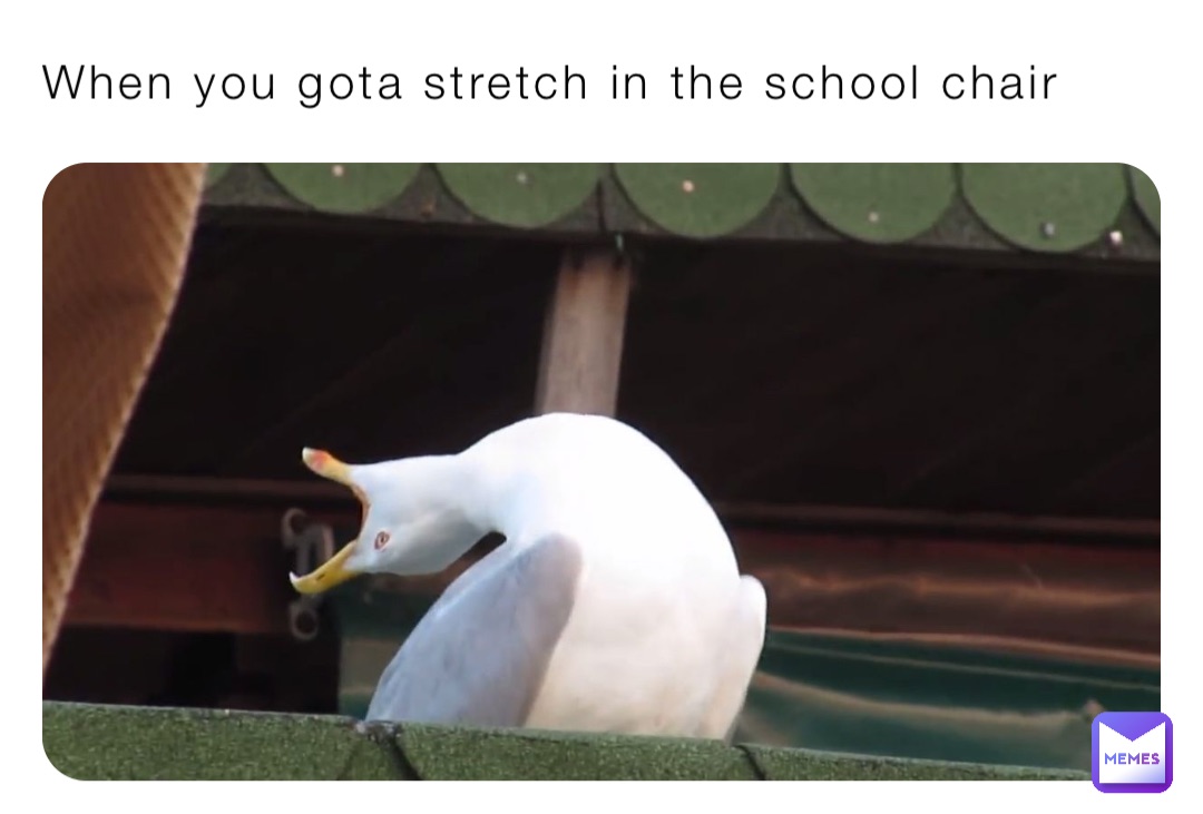 When you gota stretch in the school chair