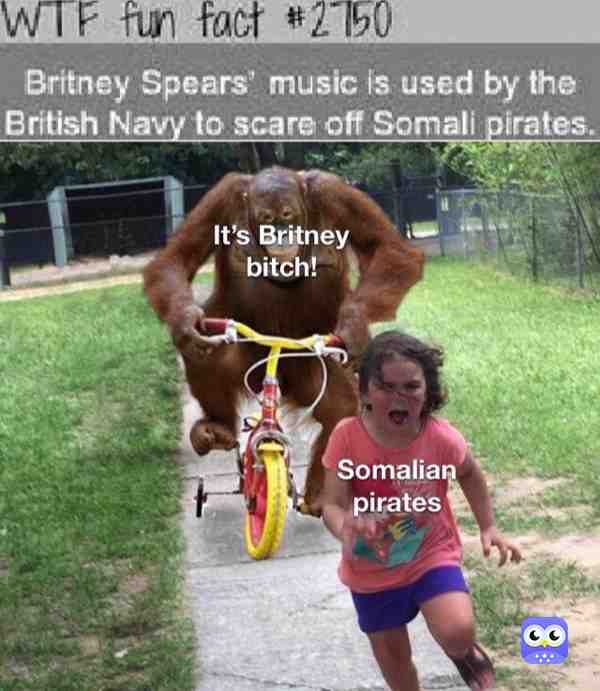 Meme preview