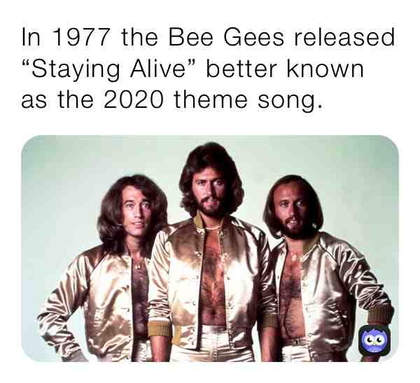 Should be 🤷‍♀️  #funny  #meme  #2020  #stayingalive  #beegees