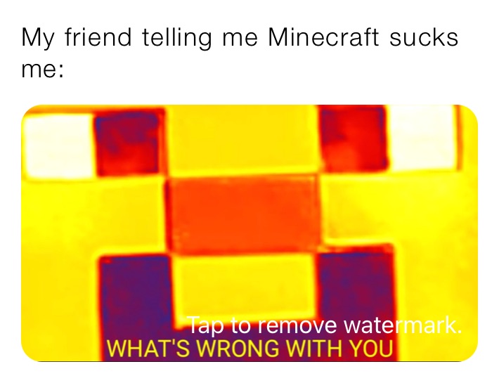 My friend telling me Minecraft sucks
me: