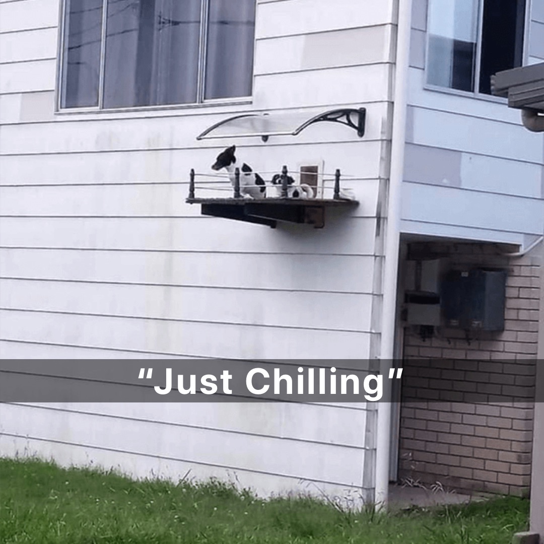 “Just Chilling”