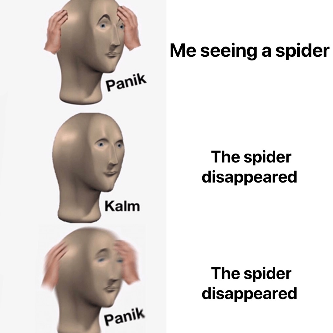 Me seeing a spider The spider 
disappeared The spider 
disappeared