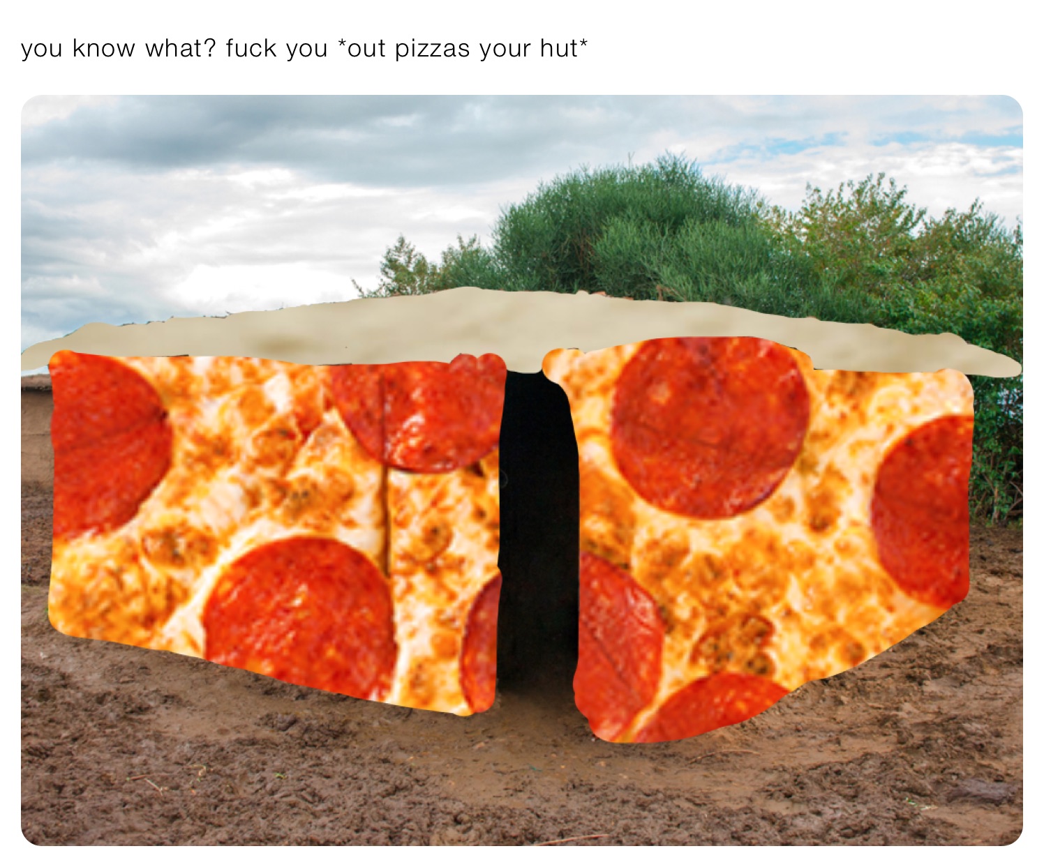 you know what? fuck you *out pizzas your hut*