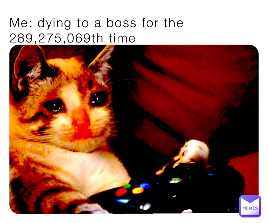Me: dying to a boss for the 289,275,069th time