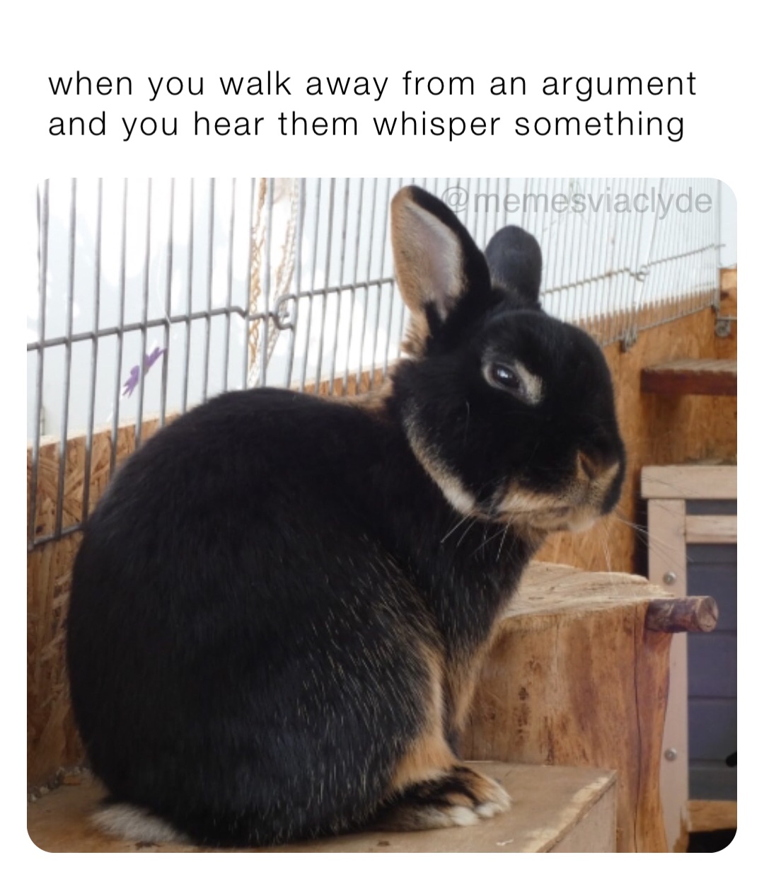 when you walk away from an argument and you hear them whisper something