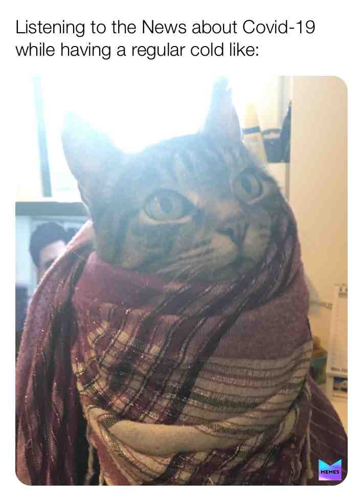  #meme #memesdaily #funny #dankmemes #relatable #relatablememes #memes #catmeme #coronavirus #covid19 #coronavirusmemes #funny #cough #cold #sickmemes #news #anxious #coldmemes #newmemes
